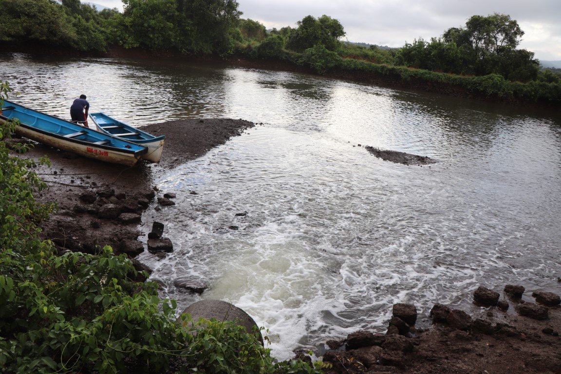 IMG_6507 (1) (Medium)