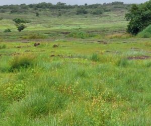 20220814_123714-scaled-e1662973057381