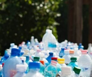 AEPW-south-asia-iclei