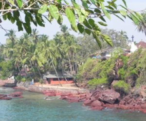 Peoples-Biodiversity-Register-Project-Begins-in-Goa