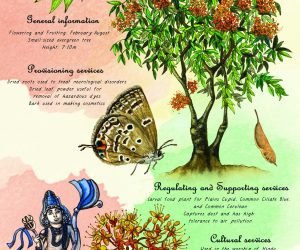 ashokfinal-scaled-e1654862383441